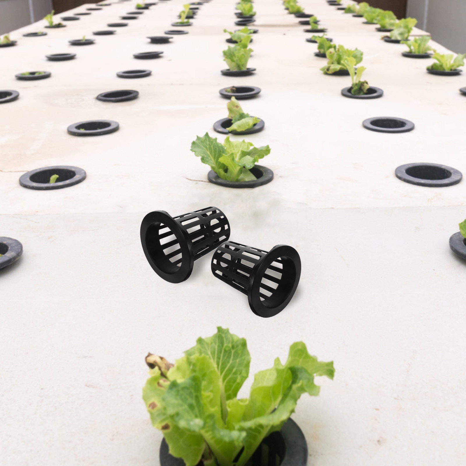 50Pcs Hydroponic Planting Bask - Plastic Cup 50Pcs recension och pris