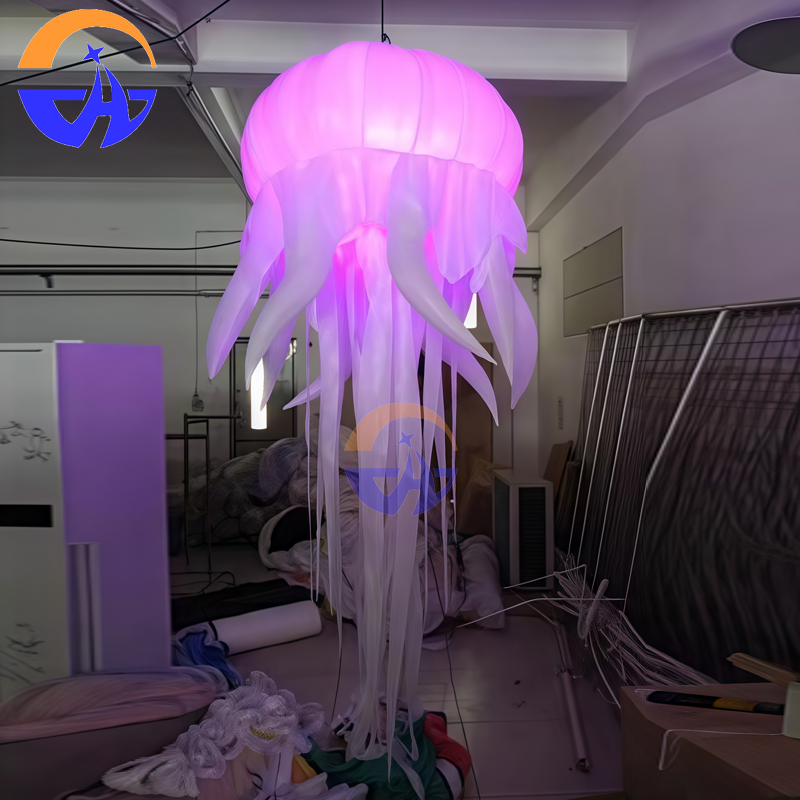 Giant LED Glowing Inflatable J - Led Balloon Light recension och pris
