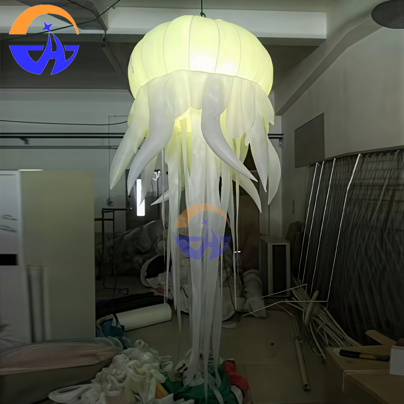 Giant LED Glowing Inflatable J - Led Balloon Light recension och pris