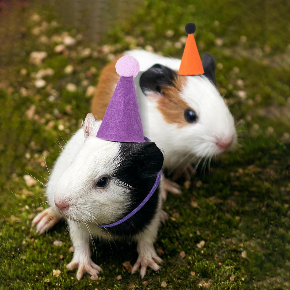 12Pcs Mini Party Hats for Stuf - Party Hat Cone recension och pris